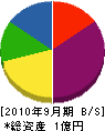 池田住建 貸借対照表 2010年9月期