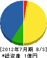 國高工業 貸借対照表 2012年7月期