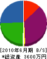 丸喜玉田工業 貸借対照表 2010年6月期