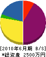 和田塗装店 貸借対照表 2010年6月期