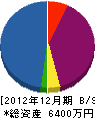 柴康土建 貸借対照表 2012年12月期