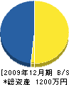 仲川電気工事店 貸借対照表 2009年12月期