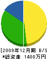 櫻木電器商会 貸借対照表 2009年12月期