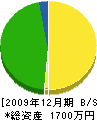 千葉住建 貸借対照表 2009年12月期