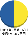大阪府造園土木工事業（同） 貸借対照表 2011年6月期