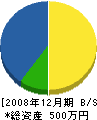 辻岡建設 貸借対照表 2008年12月期