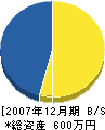 福井電気 貸借対照表 2007年12月期
