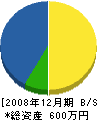 野上電気商会 貸借対照表 2008年12月期