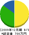 平沢板金 貸借対照表 2009年12月期
