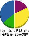 長陽園 貸借対照表 2011年12月期