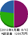 小川石材工業 貸借対照表 2012年6月期