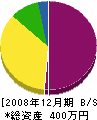 齋藤工務店 貸借対照表 2008年12月期