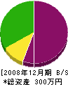 中昭電気工事 貸借対照表 2008年12月期