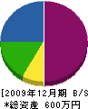 津野塗装店 貸借対照表 2009年12月期