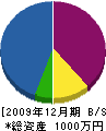 大洲ガーデン 貸借対照表 2009年12月期