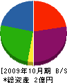 太田建設 貸借対照表 2009年10月期