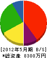 長塚設備工業 貸借対照表 2012年5月期