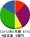 津村技巧 貸借対照表 2012年6月期