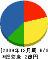竹村綜合建設 貸借対照表 2009年12月期