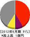 渡辺組 損益計算書 2012年6月期