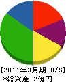 武田建設工業 貸借対照表 2011年3月期