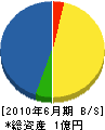 上村開発 貸借対照表 2010年6月期