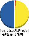 上野建材 貸借対照表 2012年3月期