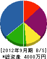 日新土木 貸借対照表 2012年9月期