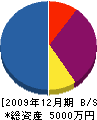 ヨシムラ 貸借対照表 2009年12月期