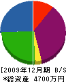 長沢工業 貸借対照表 2009年12月期
