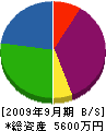 神名テックス 貸借対照表 2009年9月期