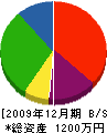 西讃技建 貸借対照表 2009年12月期