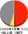 北日本エンジニアリング 損益計算書 2009年3月期