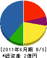 平尾組 貸借対照表 2011年6月期