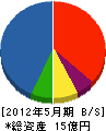岩崎建設 貸借対照表 2012年5月期