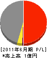 和田建設 損益計算書 2011年6月期
