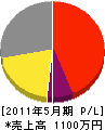 斉藤工設 損益計算書 2011年5月期