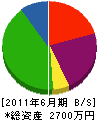 ひかり 貸借対照表 2011年6月期