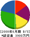 近田工業 貸借対照表 2008年6月期