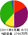 平成グラウト 貸借対照表 2011年6月期