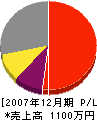 澤島建築 損益計算書 2007年12月期