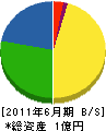柳田商会 貸借対照表 2011年6月期