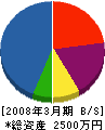 九州技建 貸借対照表 2008年3月期