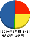 野田電機 貸借対照表 2010年8月期