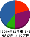 坂田建設工業 貸借対照表 2009年12月期