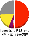 渡井土建 損益計算書 2009年12月期