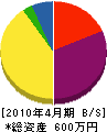 渡辺電工 貸借対照表 2010年4月期