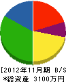 新井ホームサービス 貸借対照表 2012年11月期