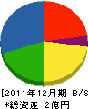 丸平工業 貸借対照表 2011年12月期