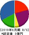 にしき堂 貸借対照表 2010年6月期